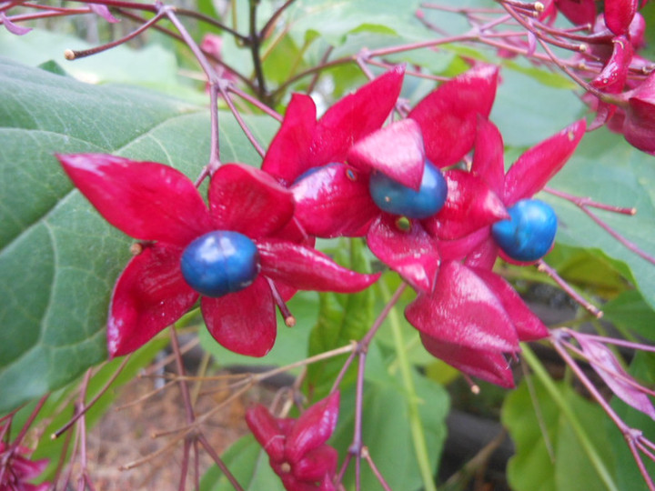 Dscn4334_2 Dscn4334_2