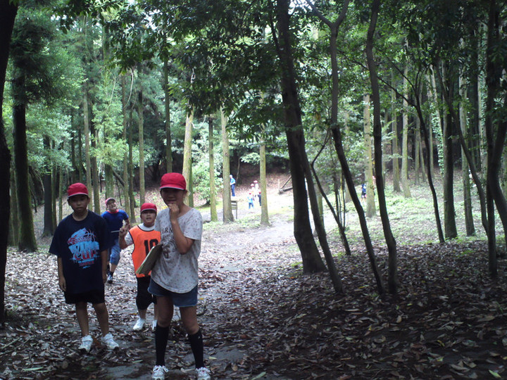 森の中を駆けめぐって