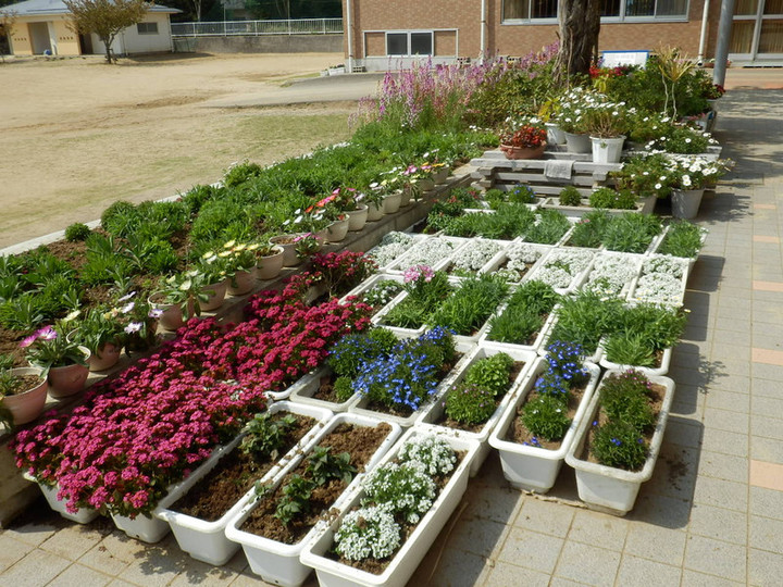 P3120032_3