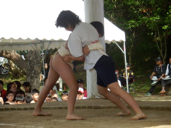 P5260287