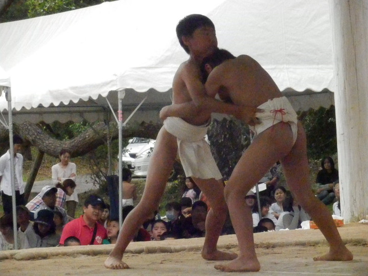 P5260349