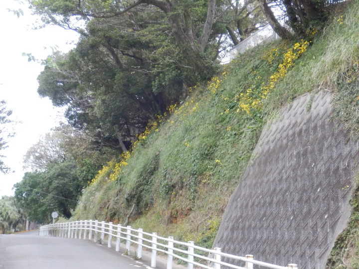 Pc152414