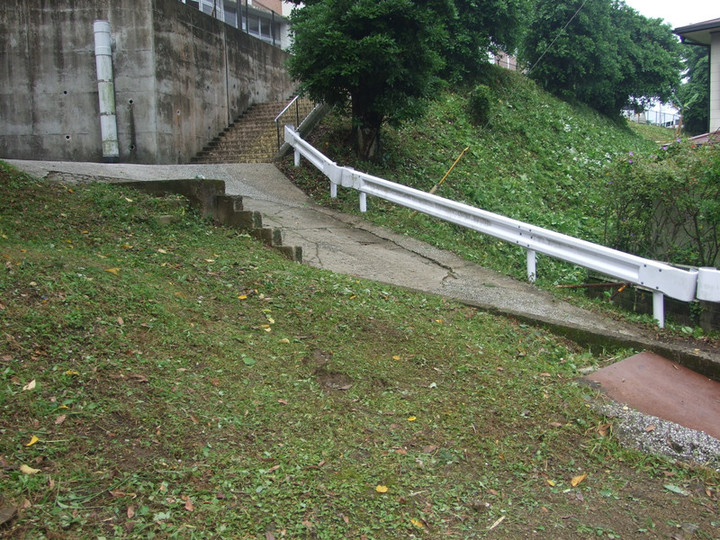 Dscf7355