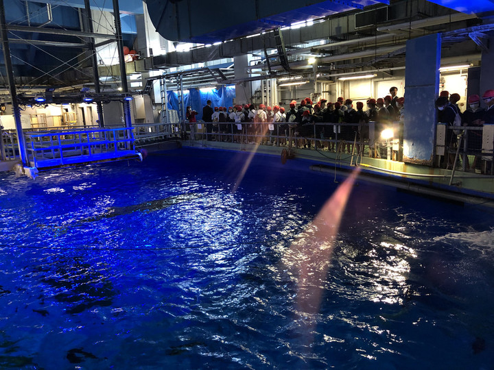 74c60221b30f4e8a9d13aa662cc56b4e