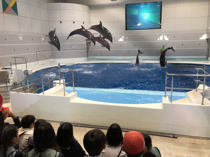 9427b53a74e34130b0c14c2c64a7ca86