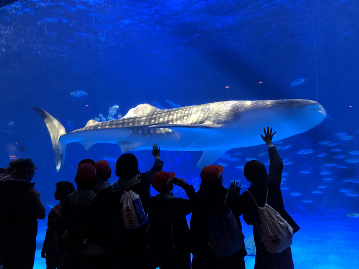 F88af24bcc544d13b68e0d0aba979a2e