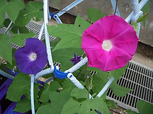 Dscn2361
