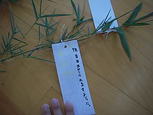 Dscn2393