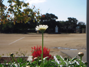 Dscn5318