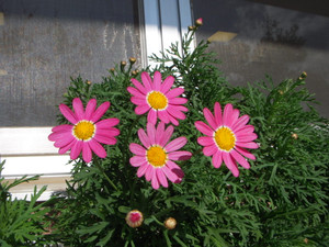 Dscn5319