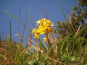 Dscn5326