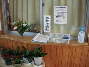 Dscn0061
