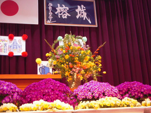 Dscn1240