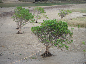 Dscn1606_2