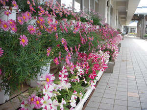 Dscn1611