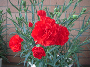 Dscn1620