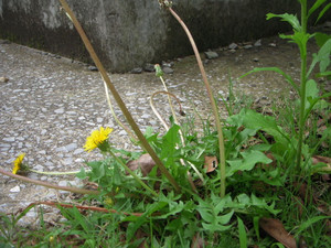 Dscn1640