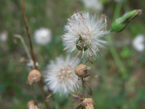 Dscn1645