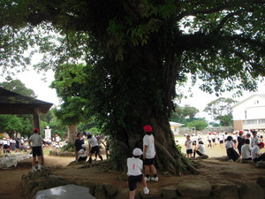 Dscn1744