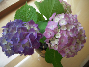 Dscn2104