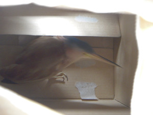 Dscn2144
