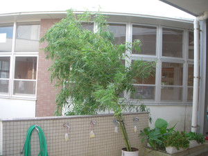 Dscn0083