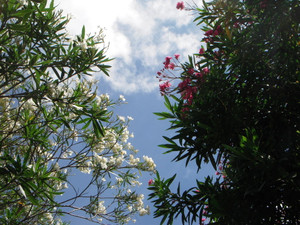 Dscn0223