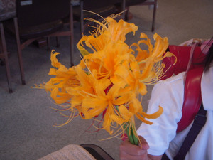 Dscn2861