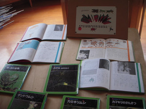 Dscn2972
