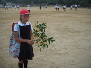 Dscn2982