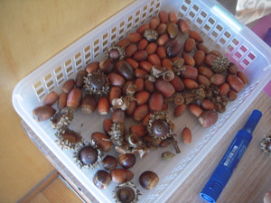 Dscn3439