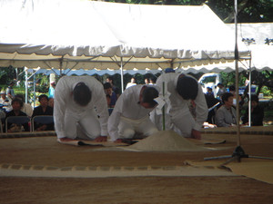 Dscn3477