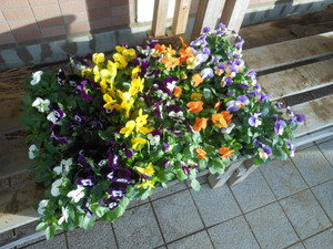 Dscn3907