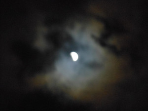 Dscn4029_3