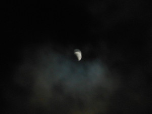Dscn4031_3