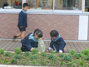 Dscn4645