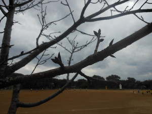 Dscn5352