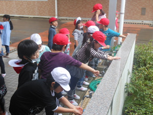 Dscn6006