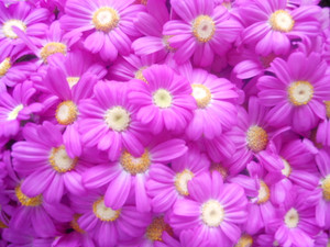 Dscn6010