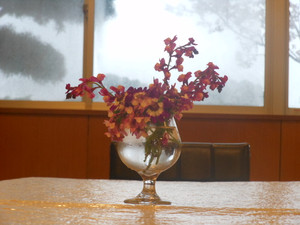 Dscn6067